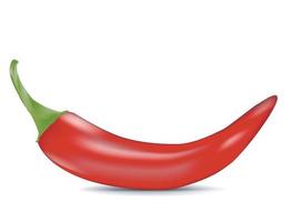 chili peper geïsoleerd op een witte achtergrond. vector illustratie