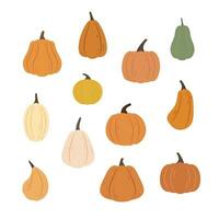 een reeks van divers vormig pompoenen en chayote met geribbeld huid voor herfst decoratief ontwerp, sociaal media, uitnodiging, oogst vector