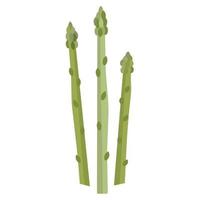 groene asperge pictogram, plat, geïsoleerd op wit vector