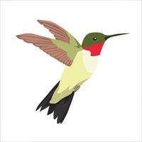 zoemende vogel kleur clipart vector illustratie ontwerp