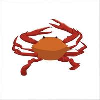 krab kleur clipart vector illustratie ontwerp