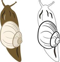 slak insect 2d illustratie clipart. gepelde buikpotige 2d vector. vector