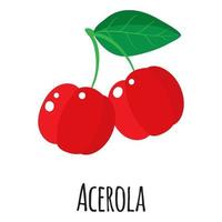 acerola superfood fruit voor sjabloonboerenmarkt, etiket, verpakking. vector