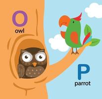 illustratie geïsoleerde alfabet letter o-uil, p-papegaai vector