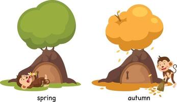 tegenover lente en herfst illustratie vector