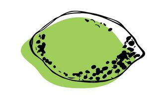 vector limoen clip art. hand- getrokken citrus icoon. fruit illustratie. voor afdrukken, web, ontwerp, decor