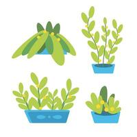 vector reeks van planten in schattig tekenfilm stijl.