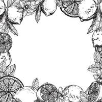 plein vector kader met citroenen en bloemen. en citrus citroenen lijn kunst grafiek. citroen plakjes met takken en bloemen zwart inkt grafiek