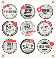 Retro vintage badges en labels-collectie vector