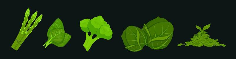 groen groenten antioxidanten. sappig broccoli en Brussel spruiten met salade voor veganistisch en veg vector voedsel