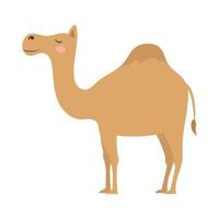 schattige cartoon een humped kameel, vlakke stijl illustratie.