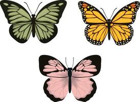 tropisch vlinder realistisch vector illustratie