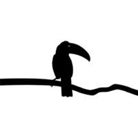 toekans zijn neotropisch leden van de in de buurt passerine vogel familie ramphastidae. de ramphastidae zijn meest nauw verwant naar de Amerikaans baardvogels, vogel silhouet. vector illustratie