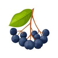 blauw appelbes BES in tekenfilm stijl. fabriek voedsel producten. vector