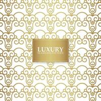 elegant goud abstract lijnpatroon vector