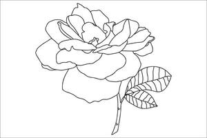 zwart-wit geschilderde roos met bladeren, bedoeld voor vakantie, ansichtkaarten, 8 maart, valentijn vector