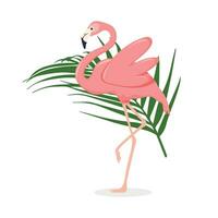 vogelstand flamingo en bloemen. kaders met flamingo. flamingo achtergrond vector