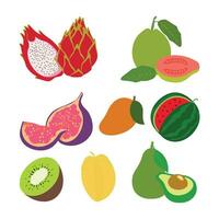 fruit vector icoon reeks illustratie in vlak stijl.