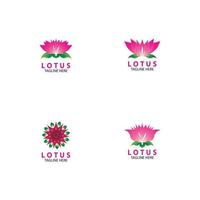 vector lotus bloemen logo afbeelding ontwerp