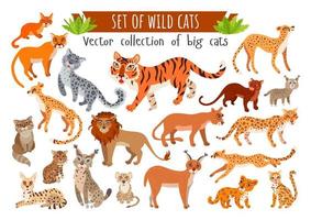 set van wilde katten. vector cartoon exotische dieren