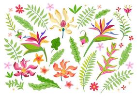 collectie van tropische bloemen. een bloemenset vector
