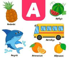 Russisch alfabet. geschreven in Russisch - ananas, watermeloen, haai, abrikoos, bus vector