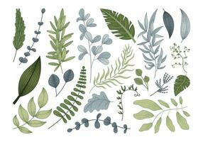 groen natuurlijk vlak twijgen met bladeren. reeks van vector geïsoleerd planten tropisch takken, schetsen stijl.