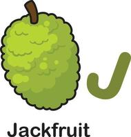 alfabet letter j-jackfruit vectorillustratie vector