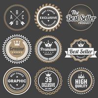 Vintage Retro Vector Logo voor banner