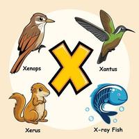 dieren alfabet letter x voor x ray vis tetra xenops xantus xerus vector