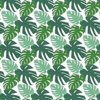 monstera trend naadloos patroon. vector