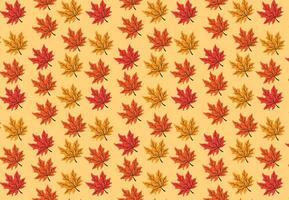 veelzijdig herfst bladeren patroon in een spectrum van vallen kleuren vector