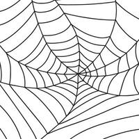 halloween web. kader, achtergrond voor decoratie. handgemaakt web. vector illustratie. vector illustratie