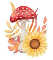 herfst samenstelling van vlieg agaric met zonnebloem en bladeren. clip art voor seizoensgebonden vakantie. dankzegging dag. botanisch waterverf Woud illustratie. hand- getrokken geïsoleerd kunst vector