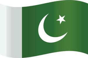 illustratie van de officieel nationaal vlag van Pakistan in vector het formulier.