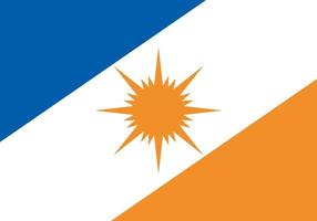 tocantins officieel vlag vector