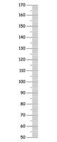 kinderen hoogte tabel van 50 naar 170 centimeter. meter muur, groei heerser. sjabloon voor muur groei sticker geïsoleerd Aan wit achtergrond. vector gemakkelijk schets illustratie.