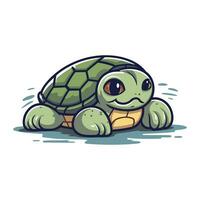 schattig tekenfilm schildpad geïsoleerd Aan een wit achtergrond. vector illustratie.