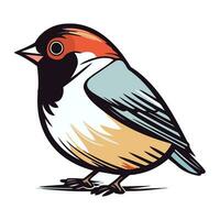 goudvink. vector illustratie van een goudvink vogel.