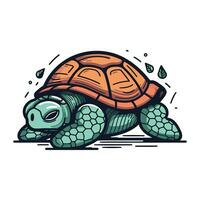 schildpad vector icoon. tekenfilm illustratie van schildpad vector icoon voor web ontwerp