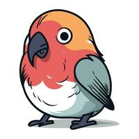 vector illustratie van een schattig rood gekroond kardinaal vogel.