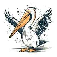 pelikaan vector illustratie. hand- getrokken geïsoleerd Aan wit achtergrond.