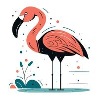 flamingo. vector illustratie in vlak stijl Aan wit achtergrond.