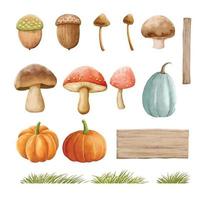 paddestoelen herfst set met gras in aquarel schilderen. vector