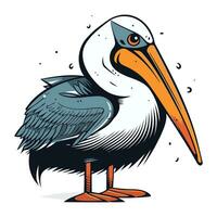 vector illustratie van pelikaan geïsoleerd Aan wit achtergrond. tekenfilm stijl.