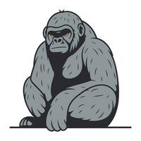 gorilla. vector illustratie van een gorilla Aan een wit achtergrond.