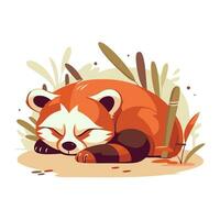 rood panda slapen Aan de grond. schattig tekenfilm vector illustratie.