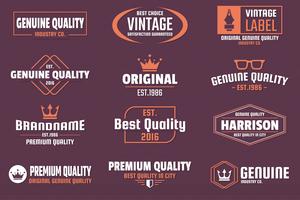 Vintage Retro Vector Logo voor banner