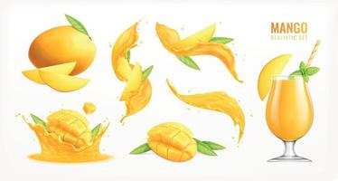 mango realistische set vector