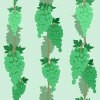 patroon met groen druiven. achtergrond met wijnstokken Aan een groen achtergrond. naadloos vector patroon